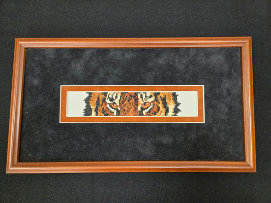 Tiger Eyes - framed model